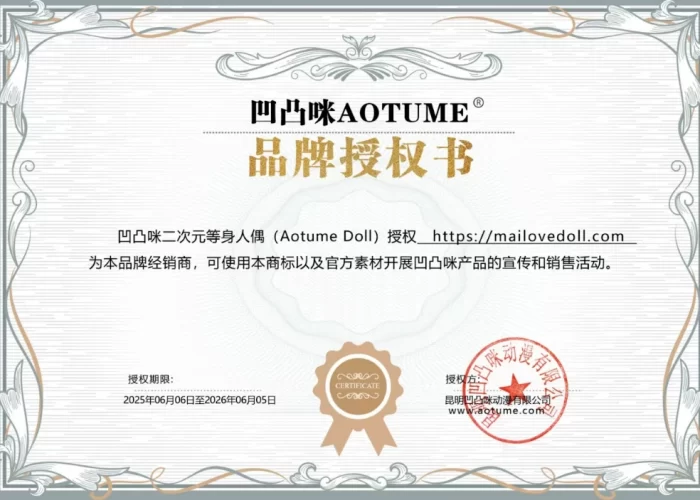 aotume authorization letter